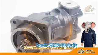 OEM 品質 A2FM63 Rexroth シリーズ 6 アキシャル ピストン固定モーター工場価格出荷高速ショーケース